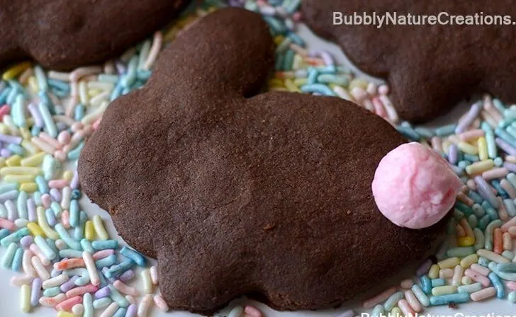 Chocolate Bunny Cookies with Cotton “Candy” Tails