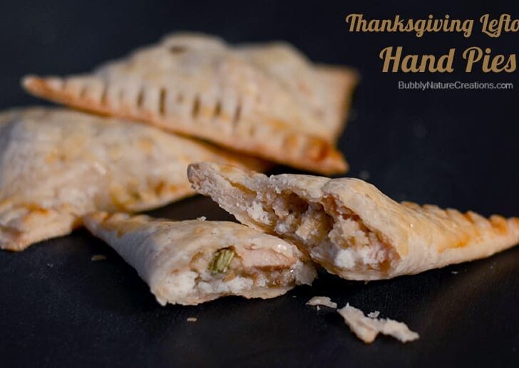 Thanksgiving Leftover Hand Pies