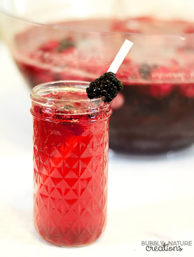 blackberry-slush-punch-easy-party-punch-recipe