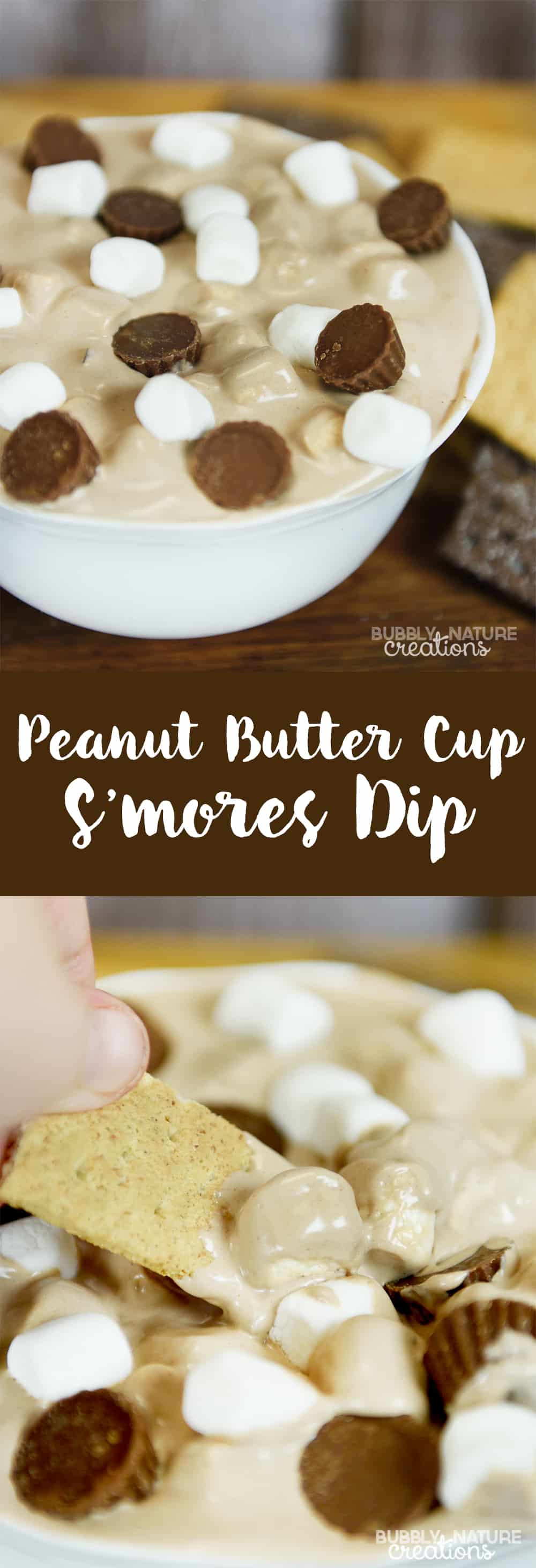 Peanut Butter Cup S'mores Dip ⋆ Sprinkle Some Fun